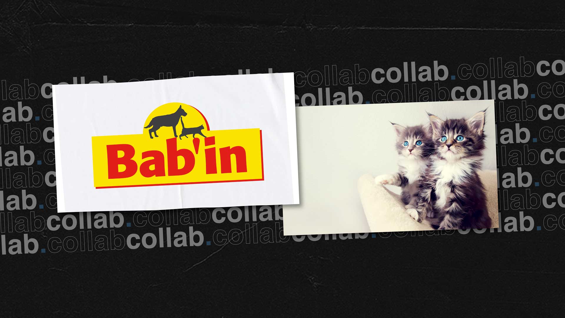 collaboration babin