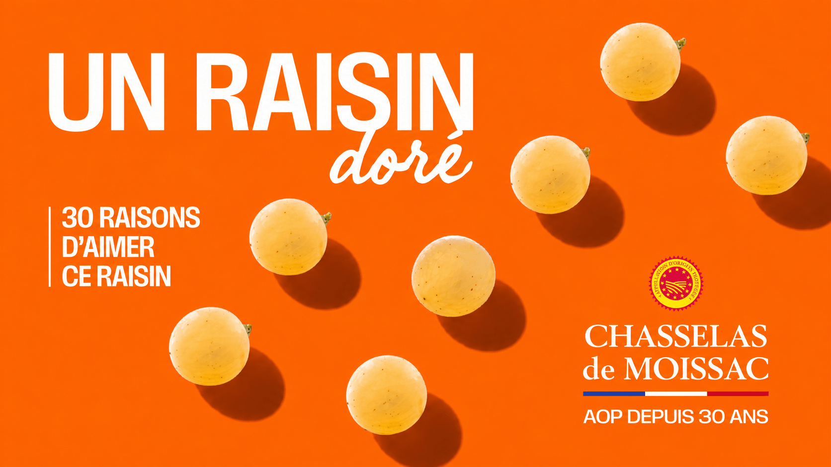AOP Chasselas de Moissac